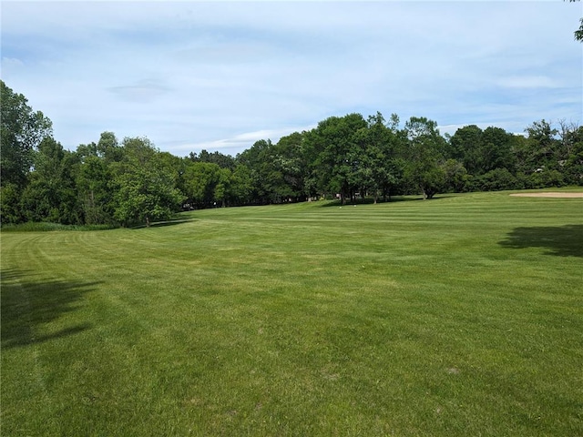 view of community featuring a lawn