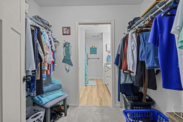 walk in closet with carpet floors