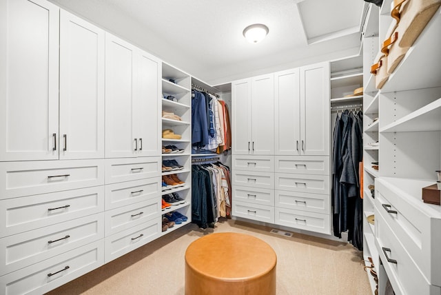 walk in closet with light carpet