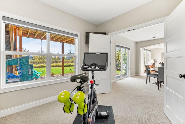 workout area with light carpet