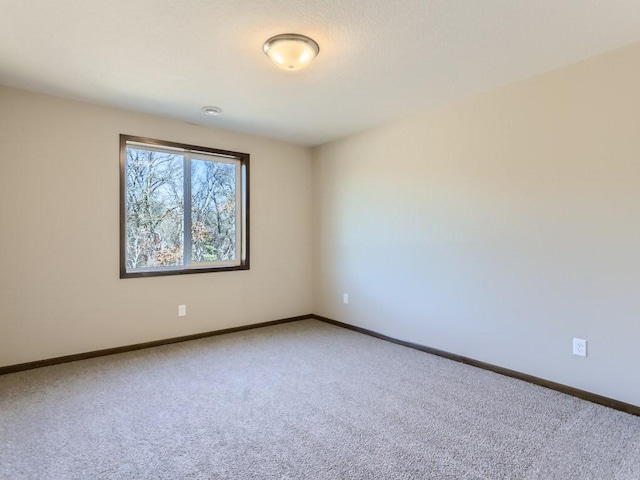 unfurnished room with carpet flooring