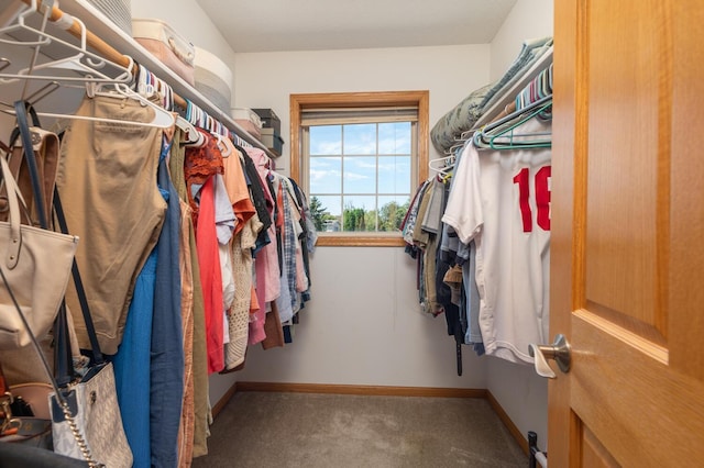 walk in closet featuring carpet flooring