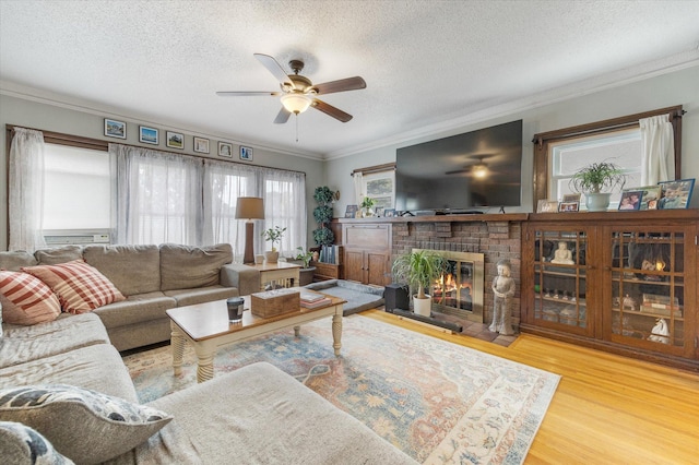 living room featuring a ceiling fan, wood finished floors, a fireplace, a textured ceiling, and crown molding