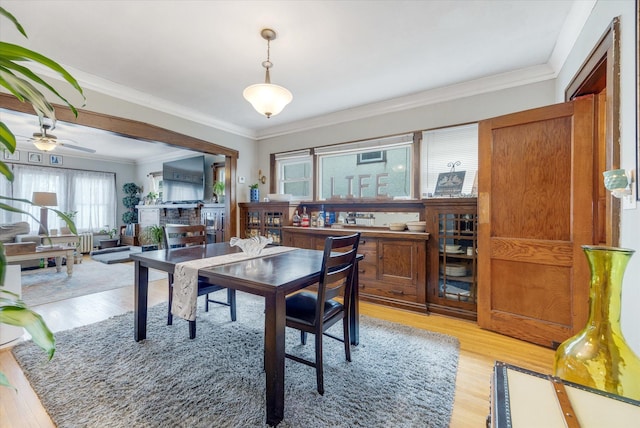 dining space featuring ceiling fan, light wood-style floors, and ornamental molding