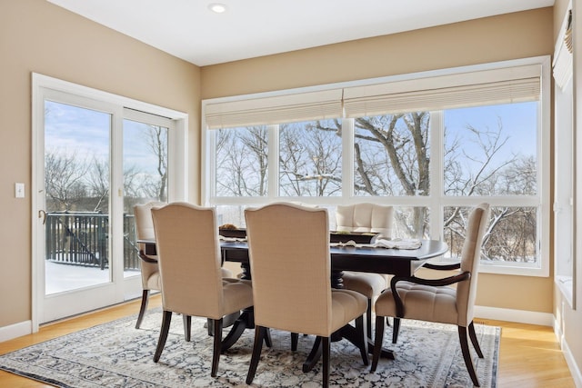 dining room with hardwood / wood-style flooring