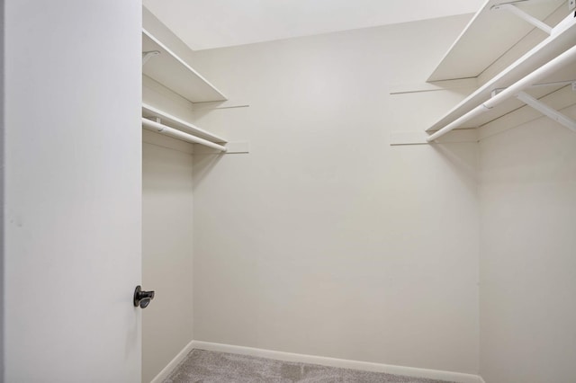 walk in closet with carpet