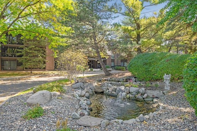 view of yard with a garden pond