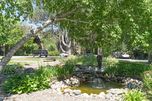 surrounding community featuring a garden pond