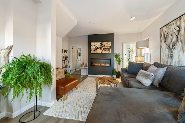 living room featuring hardwood / wood-style flooring