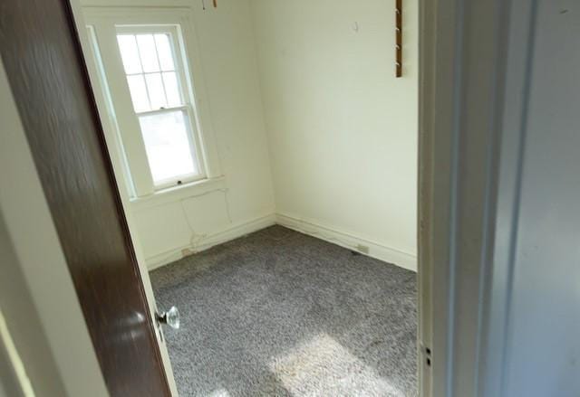 empty room with carpet floors and a wealth of natural light