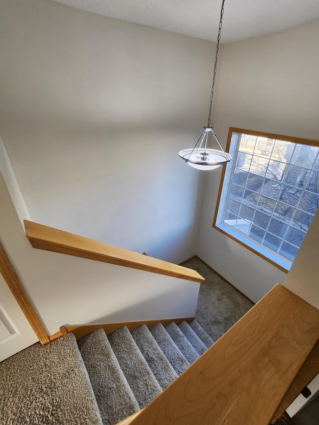 staircase with carpet