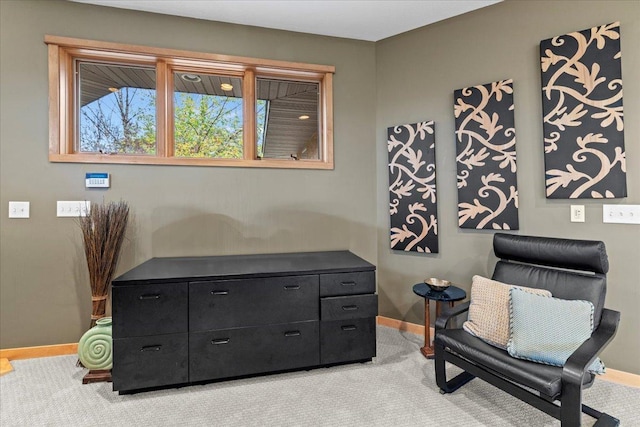 sitting room with light colored carpet