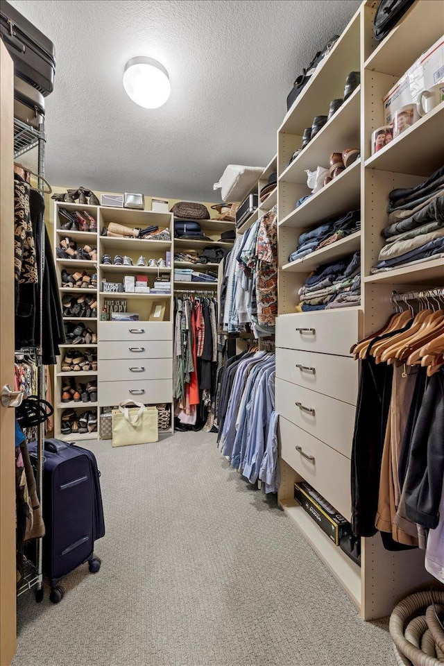 spacious closet with light carpet