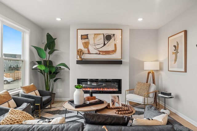 living room featuring wood-type flooring