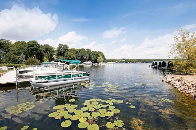 dock area with a water view