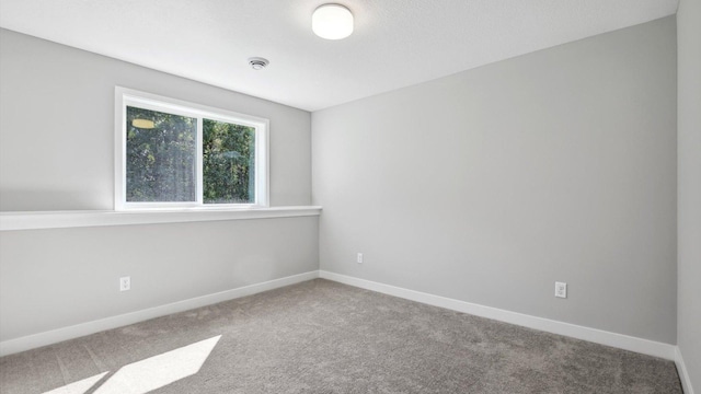 spare room featuring carpet floors