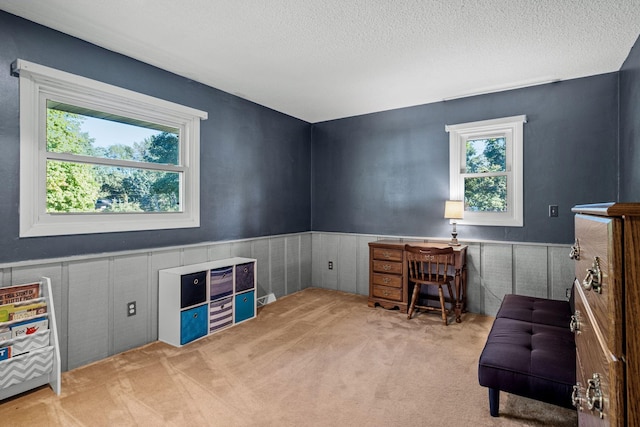 carpeted office space with a textured ceiling