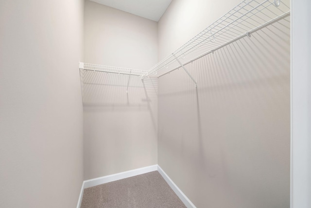 walk in closet featuring carpet