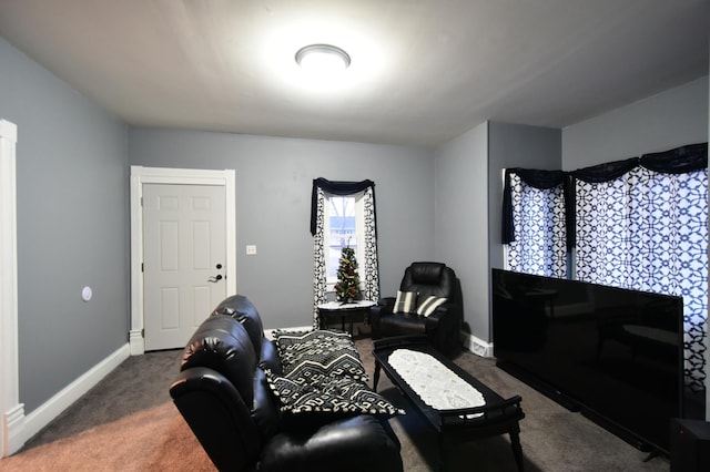 living room featuring dark colored carpet