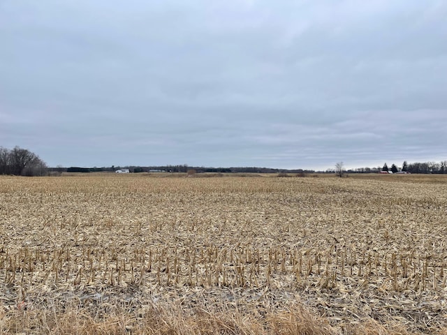 XXX 80th St, Parcel C, Princeton MN, 55371 land for sale