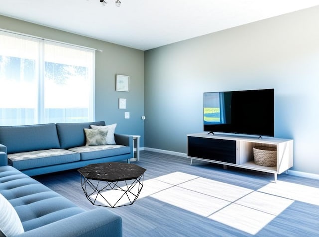 living room featuring hardwood / wood-style flooring