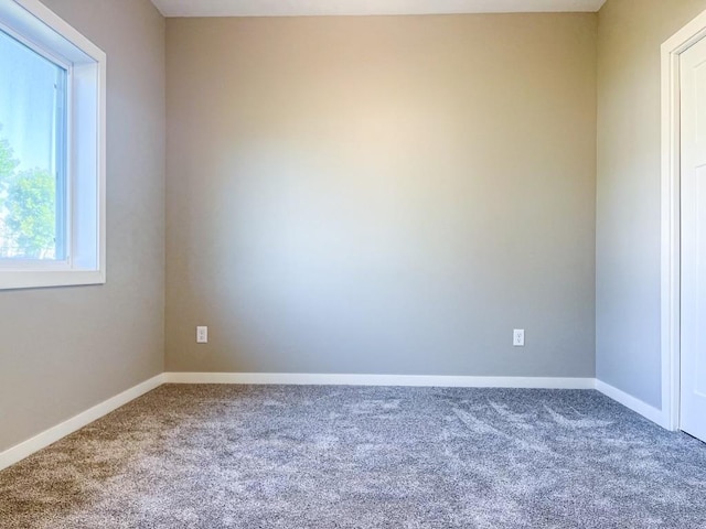 unfurnished room with carpet