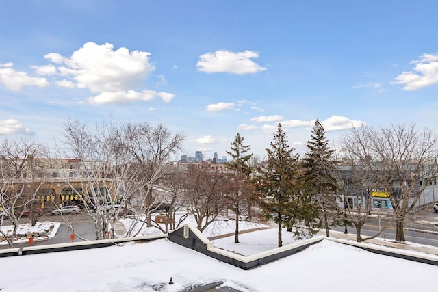 view of snowy yard