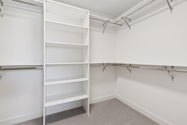 spacious closet with carpet