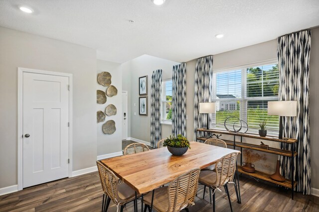 dining room with dark hardwood / wood-style floors