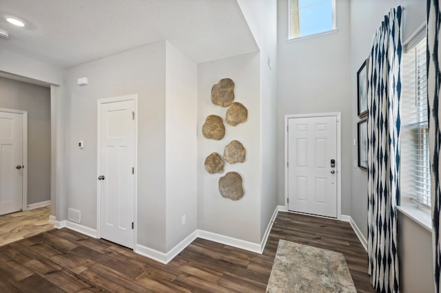 foyer featuring dark wood-type flooring