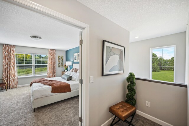 bedroom featuring carpet flooring, a textured ceiling, and multiple windows