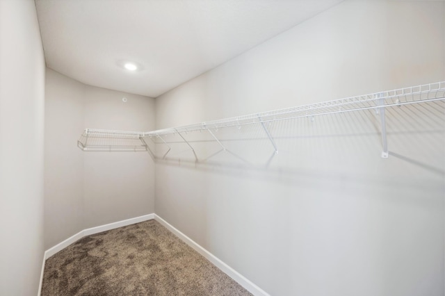 spacious closet with carpet flooring