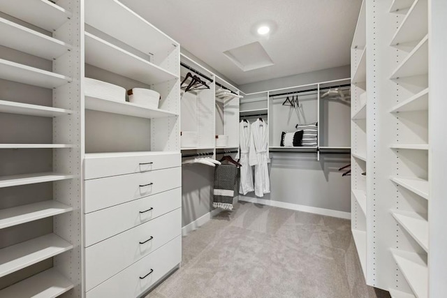 spacious closet featuring light colored carpet