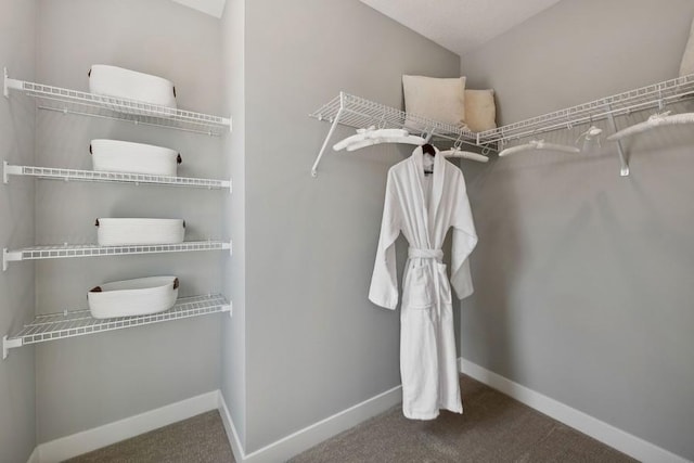 spacious closet with lofted ceiling and carpet floors