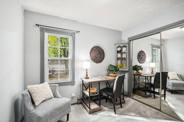 office featuring light colored carpet and a textured ceiling