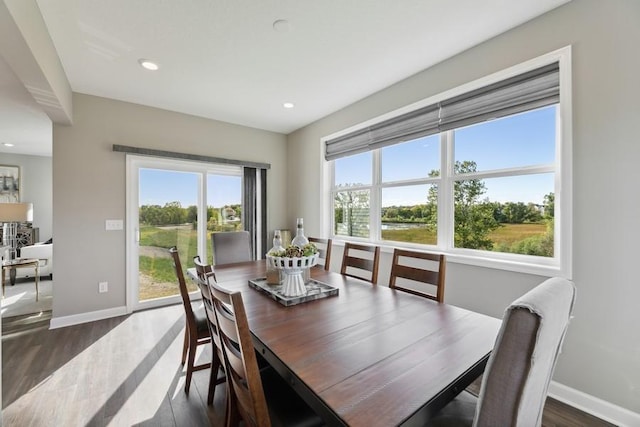 dining area featuring dark wood-type flooring