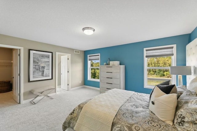 carpeted bedroom with a walk in closet and a closet