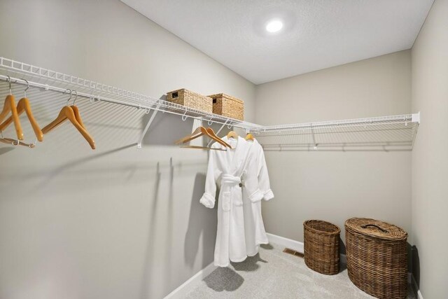 spacious closet featuring carpet floors