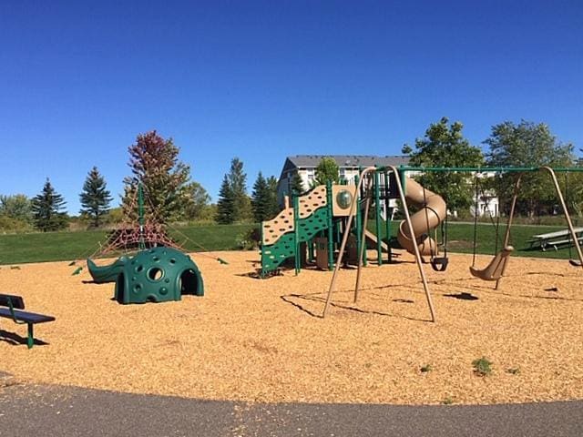 view of jungle gym