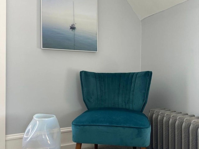 living area with lofted ceiling and radiator heating unit