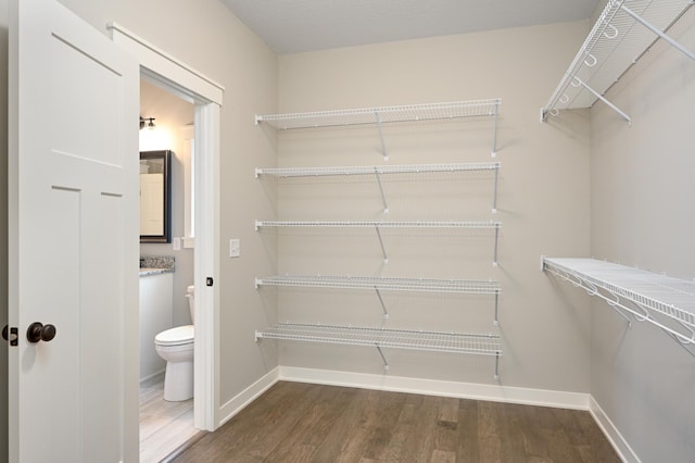 walk in closet featuring wood finished floors