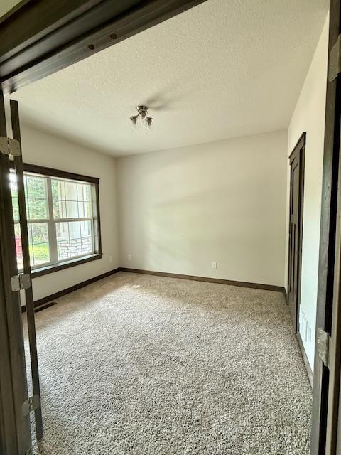 8001 Petunia St, Victoria, MN 55386 - spare room with carpet and a textured ceiling