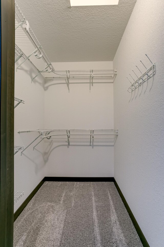 walk in closet featuring carpet floors