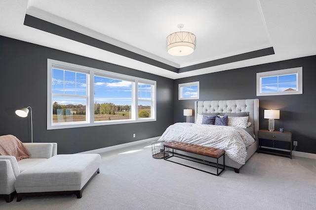 bedroom featuring carpet and a tray ceiling