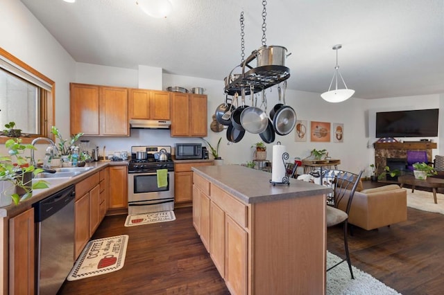 kitchen with decorative light fixtures, dark hardwood / wood-style floors, sink, and appliances with stainless steel finishes