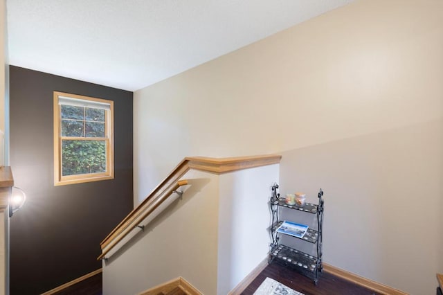 stairs with hardwood / wood-style flooring