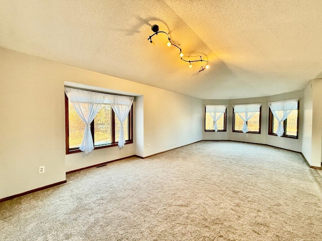 interior space with carpet flooring, a textured ceiling, track lighting, and lofted ceiling