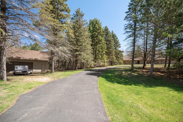 view of road with driveway