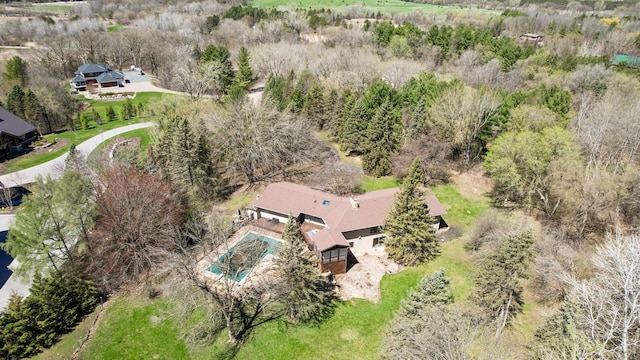 bird's eye view