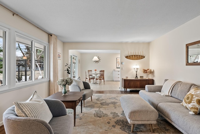 living room featuring wood finished floors